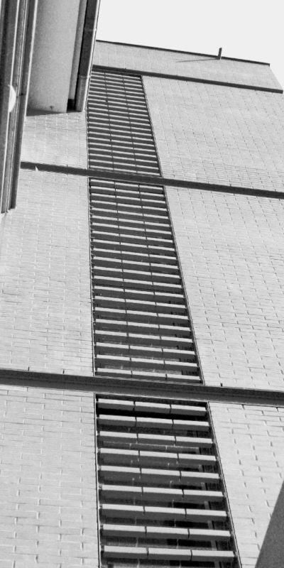 wolf-cage-verticale